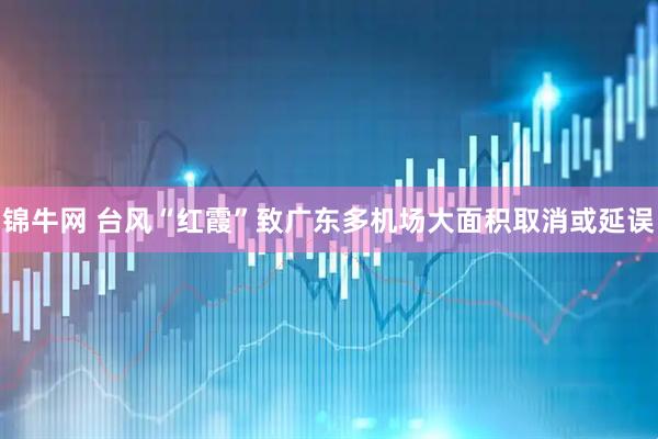锦牛网 台风“红霞”致广东多机场大面积取消或延误